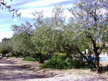 gites saint remy de provence